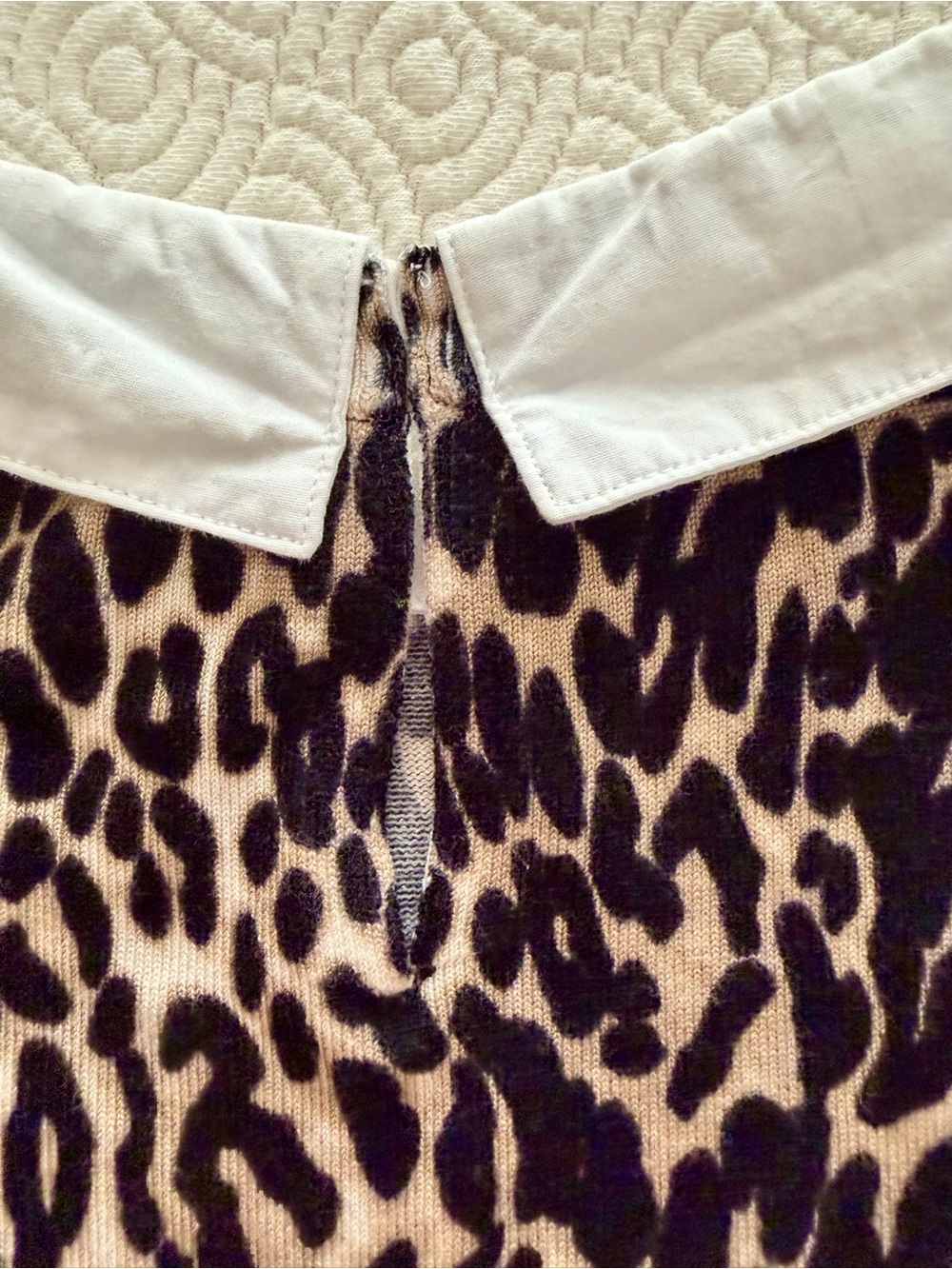 Cable & Gauge Leopard Sweater Top w/ White Cotton Collar Black Cream Ladies Med - Picture 8 of 12
